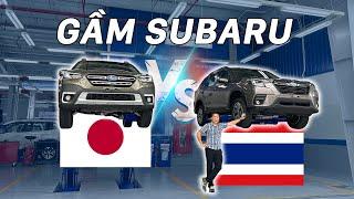 Lộn gầm Subaru Forester và Outback: Xe nhập Nhật xịn hơn xe nhập Thái? | WhatcarVN