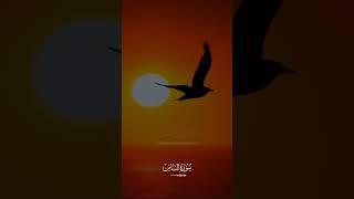 Jummuat Mubarak ️️️To All Muslims Umma ️️️2