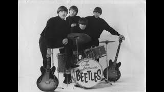 "School Days", The American Beetles