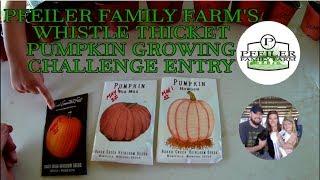 Whistle Thicket's Great Pumpkin Challenge Entry