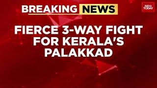 Three-Way Fight in Palakkad By-Election: UDF, LDF, BJP Battle for Votes | Kerala By-Polls