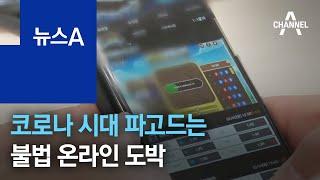 코로나 시대 무서운 중독…불법 온라인 도박 실태 | 뉴스A