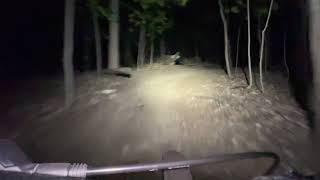 River bend mtb trails @ night.
