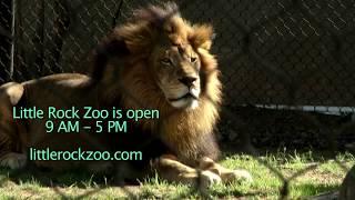 Little Rock Zoo Announcement