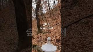 옆집아재 가을 갓바위 감성