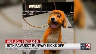 Humane Fort Wayne to hold 10th annual ‘Pawject Runway’ fundraiser Saturday