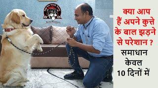 Dogs Hair Fall? Solutions in Just 10 Days | Part-1 | 2020