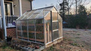 Harbor Freight 6x8 Greenhouse Tour - Adjustable Shelving, Zone 7a, Tomatoes in December