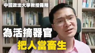 中國政法大學教授羅翔：為活摘器官 把人當畜生| #大紀元新聞網