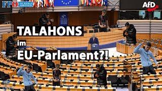 Talahons im EU-Parlament?! - Jung & Patriotisch