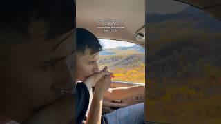 When he takes you to see the fall foliage ️ #tiktok #couple #couplegoals #fall