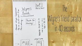 The Wigner's Friend paradox in 40 seconds