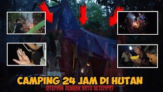 SEREEM PEGHUNI HUTAN MUNCUL‼️KEMPING 24 JAM DI HUTAN KALIMANTAN!!  #vlog #camping #wildlife