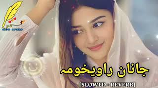 Janan Rawekhawama || (Slowed + Reverb) Viral Song || Singer Wagma || 