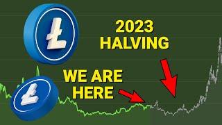 Litecoin Halving Price Prediction for 2023  — Will History Repeat Itself with an LTC Pump? 