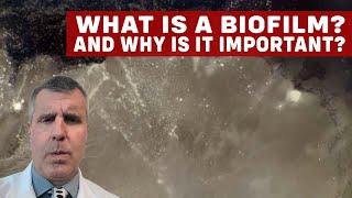 What is a Biofilm?