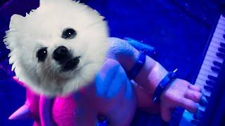 Bowser - Peaches (Dog Song) | The Super Mario Bros. Movie