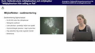 Miljöpåverkan från odling av fisk, Hanna Carlberg, Sveriges Lantbruksuniversitet