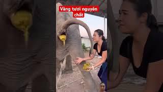 Làm giấy cao cấp #shots #tintuc