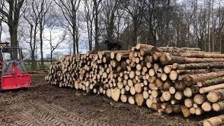 Käferholz im Privatwald [Holz rücken und poltern]