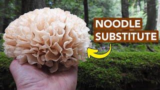 Foraging The Delicious Edible Cauliflower Mushroom