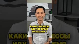 Что происходит в организме при голодании