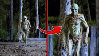 30 Creepiest Creatures Found In The Woods