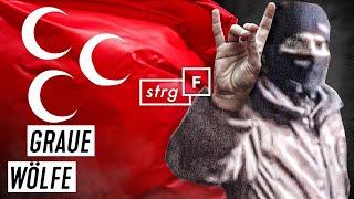 Türkische Rechtsextreme: wie gefährlich sind die Grauen Wölfe? | STRG_F