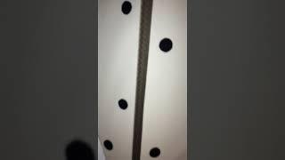 DIY Zontik #hit#garoshki#interier#dizayn#design#
