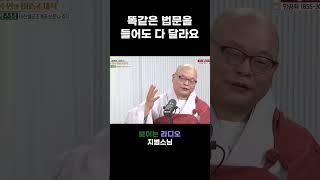 똑같은 법문을 들어도 다 달라요 #지범스님 #보이는라디오