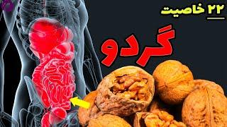 خواص گردو  22 خاصیت گردو برای سلامتی  خطرات و عوارض گردو