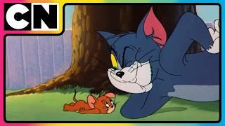 Tom and Jerry | Tom & Jerry’s Stay-At-Home Madness!  | Cat and the Mouse Cartoon | @cnindia
