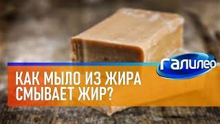 Галилео  Как мыло из жира смывает жир?