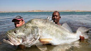 BIG MONSTER NILE PERCH 114 POUND IN THE LAKE NASSER EGYPT by YURI GRISENDI