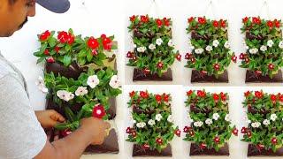 amazing wall planter ideas using plastic cover /recycling plastic /gardening ideas for home