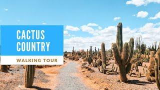 [4k60] Cactus Country. Victoria, Australia. Walking Tour.