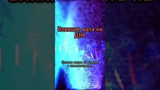 Влияние мата на ДНК человека