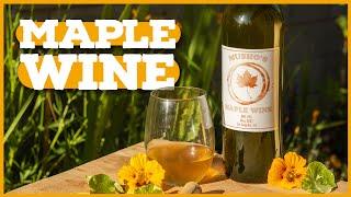 Fermenting Maple Syrup?!? Maple Wine Recipe 