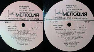 Vinyl Disc LP альбом 1980 года Владимир Мигуля и группа Земляне