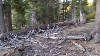 Dawson saddle to Vincent gap 1of 3