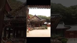 #가을랜선여행#경남가볼만한곳##천성산#내원사#가을풍경