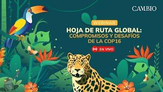 Hoja de ruta global: compromisos y desafíos de la COP16