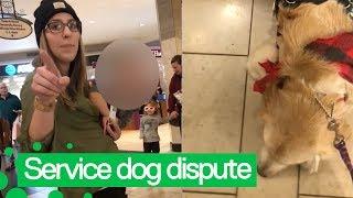 Argument after Girl Tries to Pet Service Dog