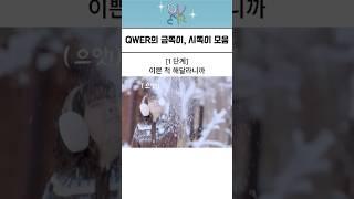 못말리는 시쪽이 모음
