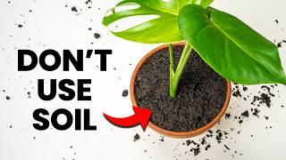 Why You Should NEVER Use Soil Indoors