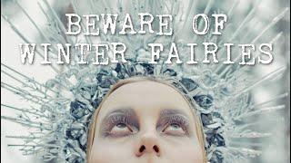 Fairies of the Shadow Season  - Seven TRUE Encounters with Winter Fairies