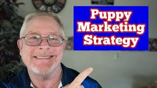 How To Sell Puppies! A Proven Marketing Strategy that Works!