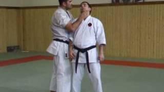 I.O.G.K.F.-RUSSIA Seminar in "Gakumon Dojo"(www.club-edinoborstv.ru) "What is this - Goju ryu"