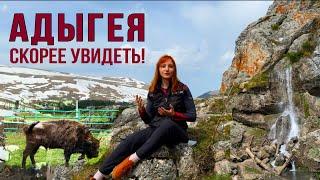 АДЫГЕЯ ТОП10 Ч1 Отдых и достопримечательности на машине. Каменномостский, Гузерипль, плато Лаго Наки