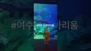 #여수여행 #여수아쿠아리움 #여수상어 #여수 #아이스크림 #여수당